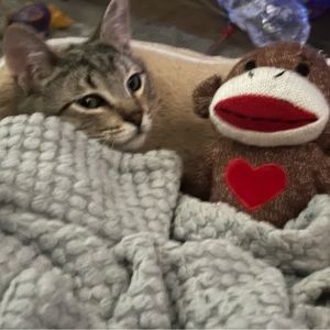 Meet your Posher, Miriam